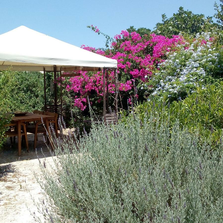 Вилла Aegina'S Oasis Экстерьер фото