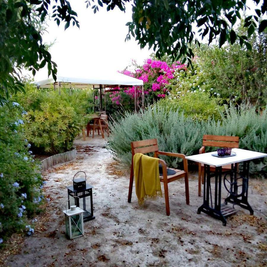 Вилла Aegina'S Oasis Экстерьер фото